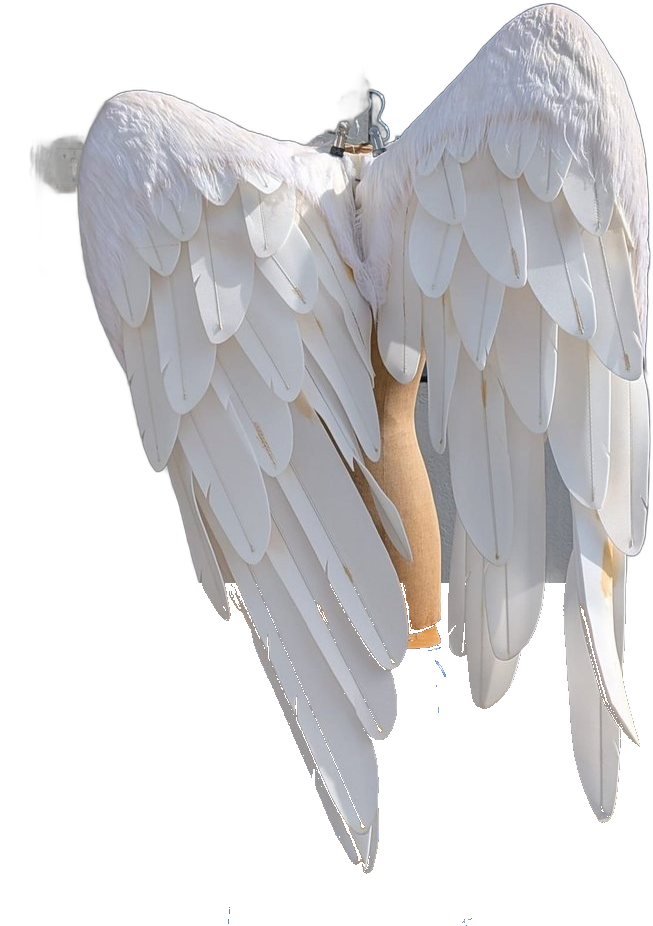 Grandes ailes d'ange blanches en plumes, vue de dos, posées sur tabouret