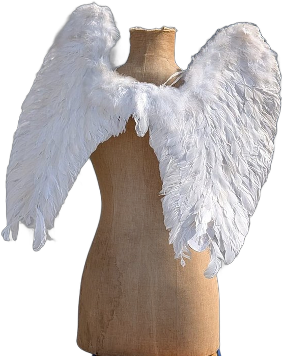 Paire d'ailes en plumes blanches taille moyenne, vue de profil